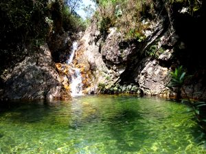 Cachoeira dos Dantes_Macacos